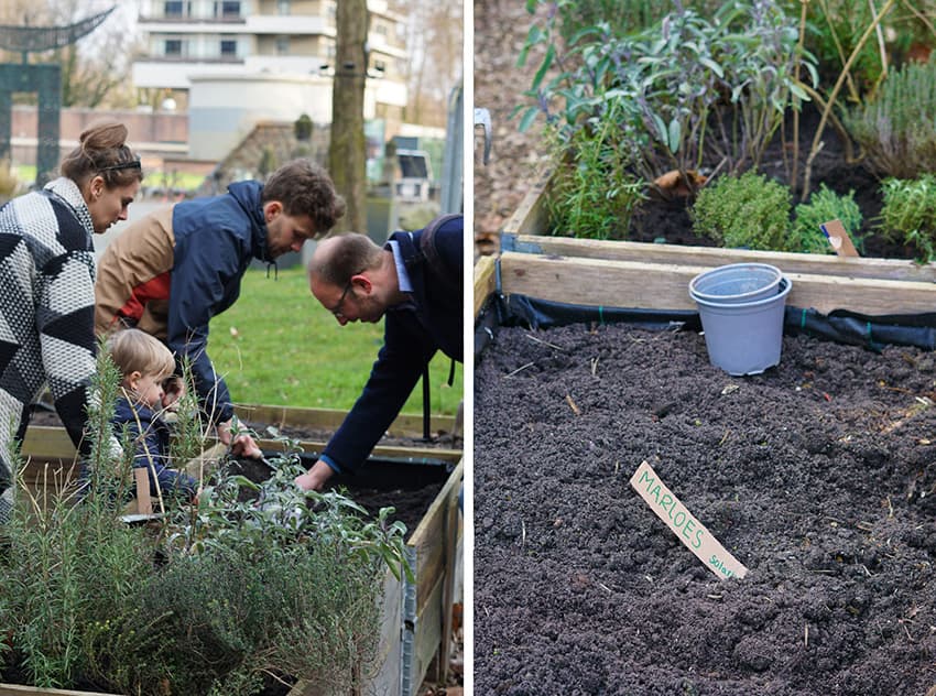 Team building groene vingers | Solar design zonnepanelen | Nieuwsbericht | Solarix