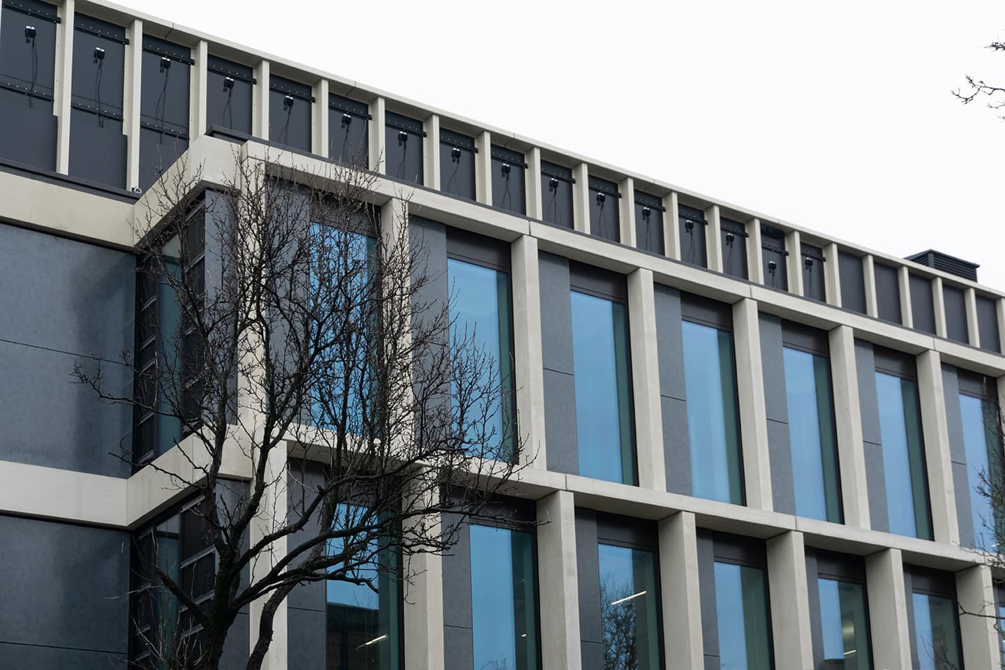 Installatie design zonnepanelen gevel dsm-firmenich Maastricht | Solarix