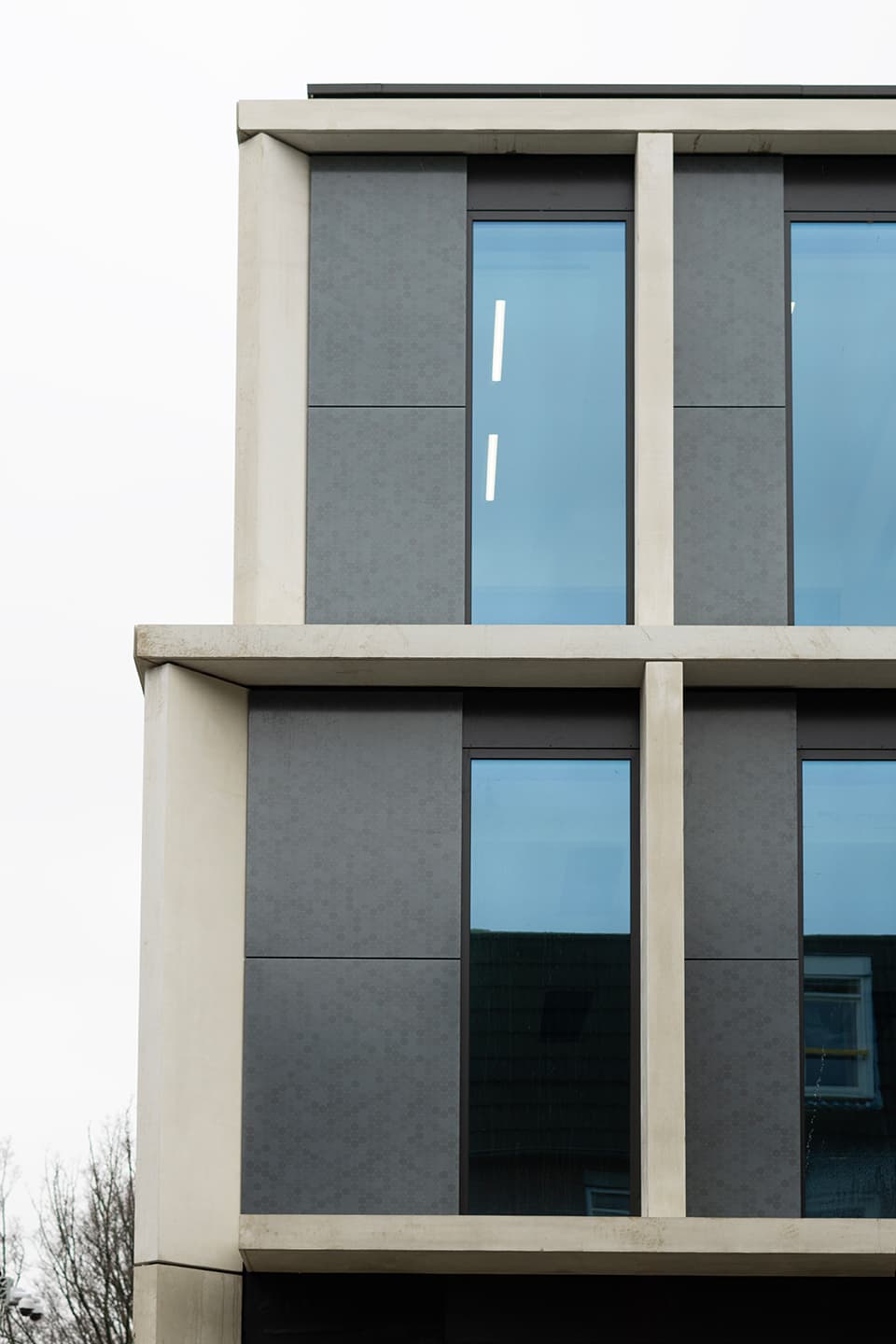 Installatie design zonnepanelen gevel dsm-firmenich Maastricht | Solarix